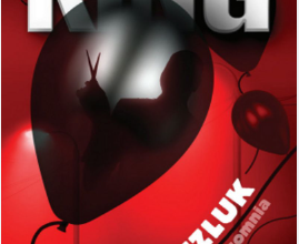 «Uykusuzluk» Stephen King