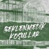 «Beklenmedik Koşullar» Lauren Asher