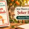 Jose Mauro de Vasconcelos Şeker Portakalı Roman Özeti ve Konusu